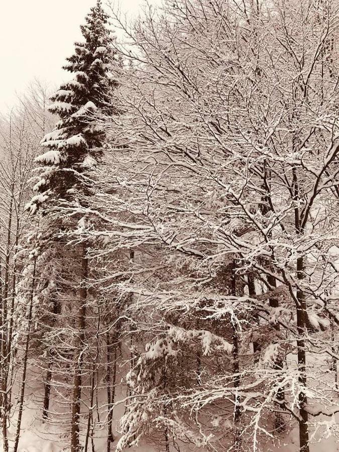 Apartmán 16 Romantika Chopok Juh Tále Tale Exterior foto